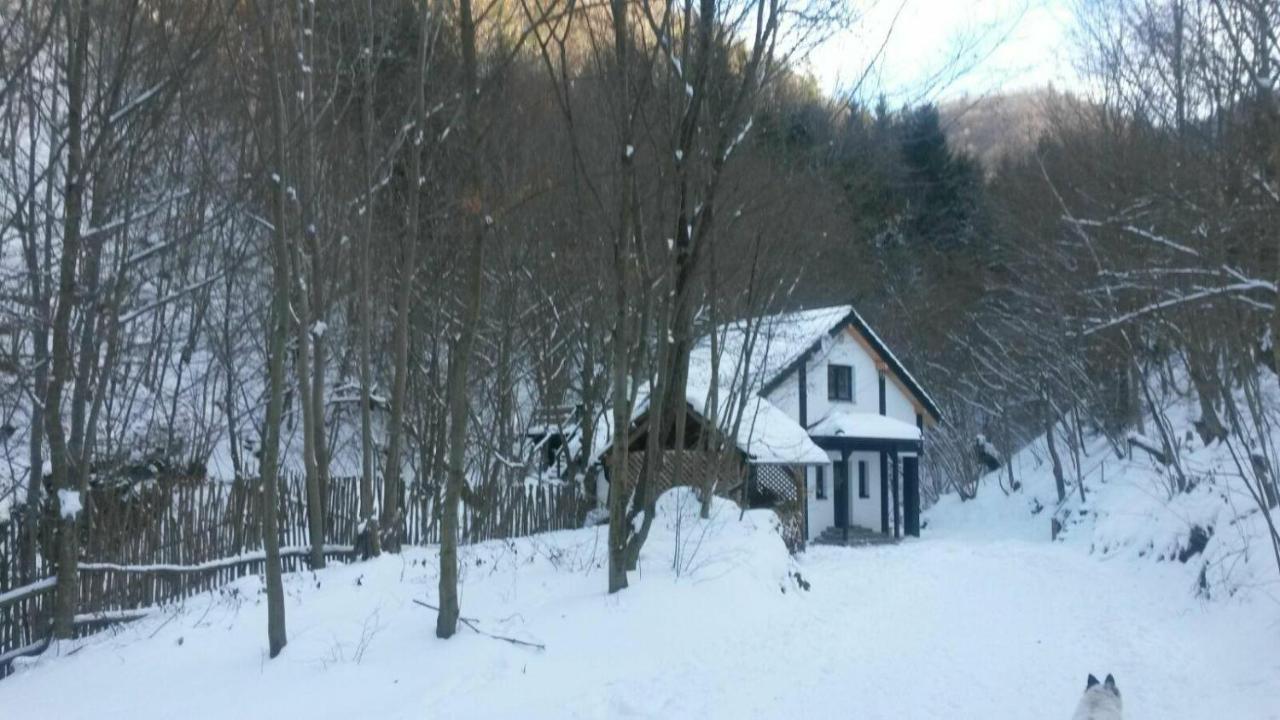 Cabana Crenguta سيبيو المظهر الخارجي الصورة