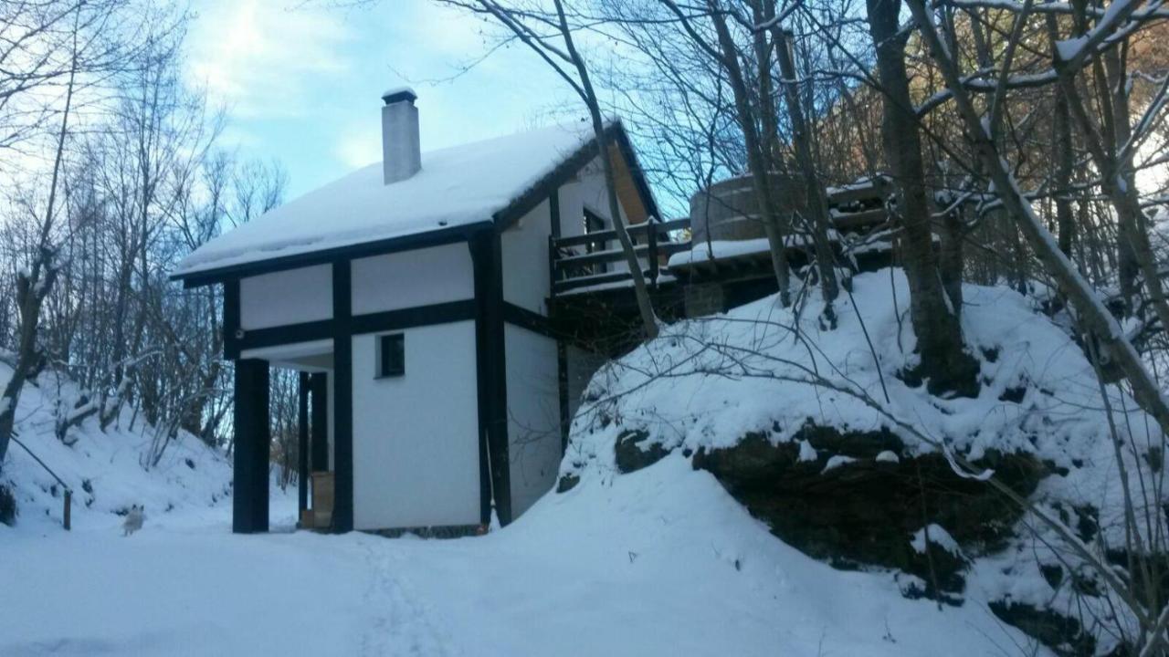 Cabana Crenguta سيبيو المظهر الخارجي الصورة