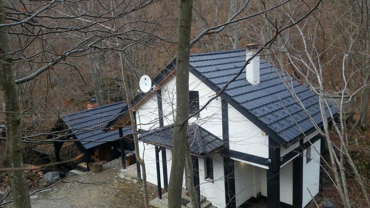 Cabana Crenguta سيبيو المظهر الخارجي الصورة
